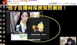 深夜直播间爆料视频大全,揭秘热门视频背后的真相